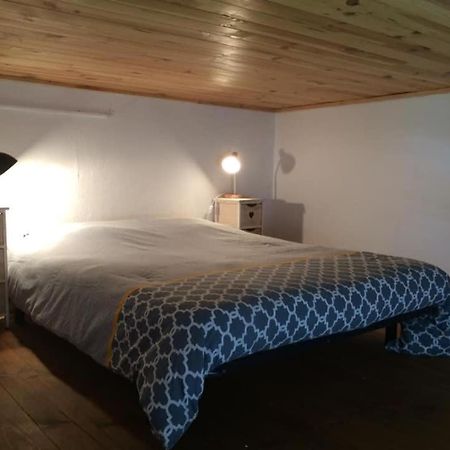 Appartement Cosy Place Paoli Corte  Eksteriør billede