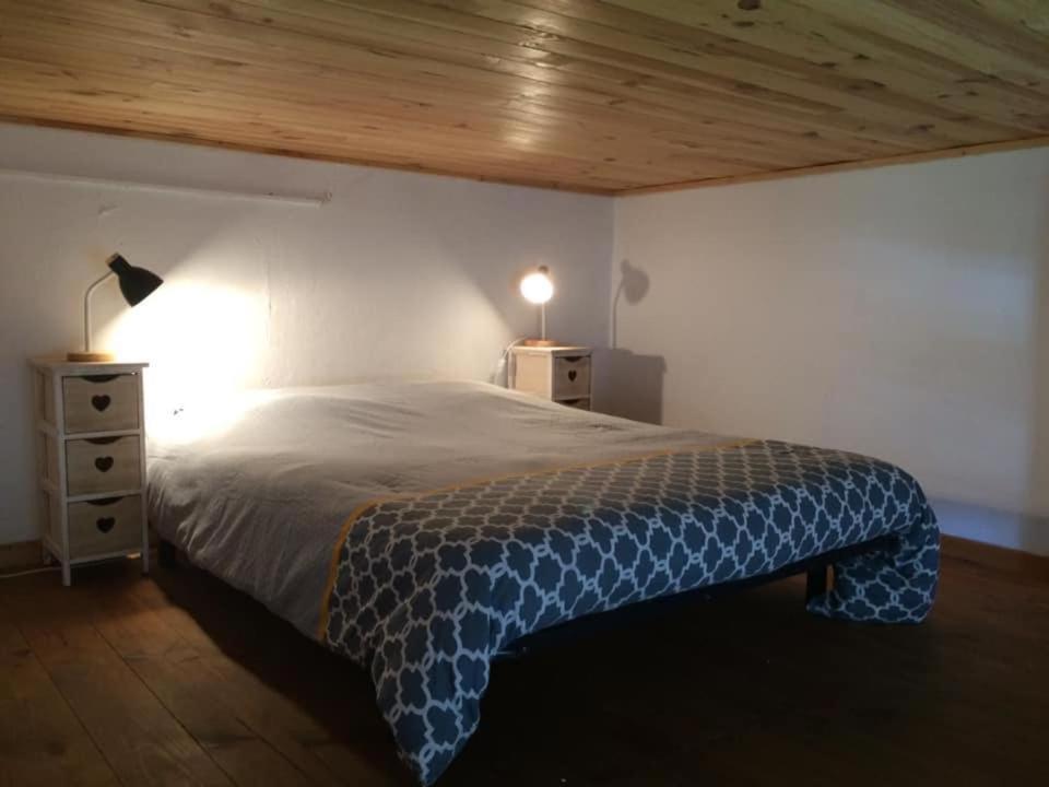 Appartement Cosy Place Paoli Corte  Eksteriør billede