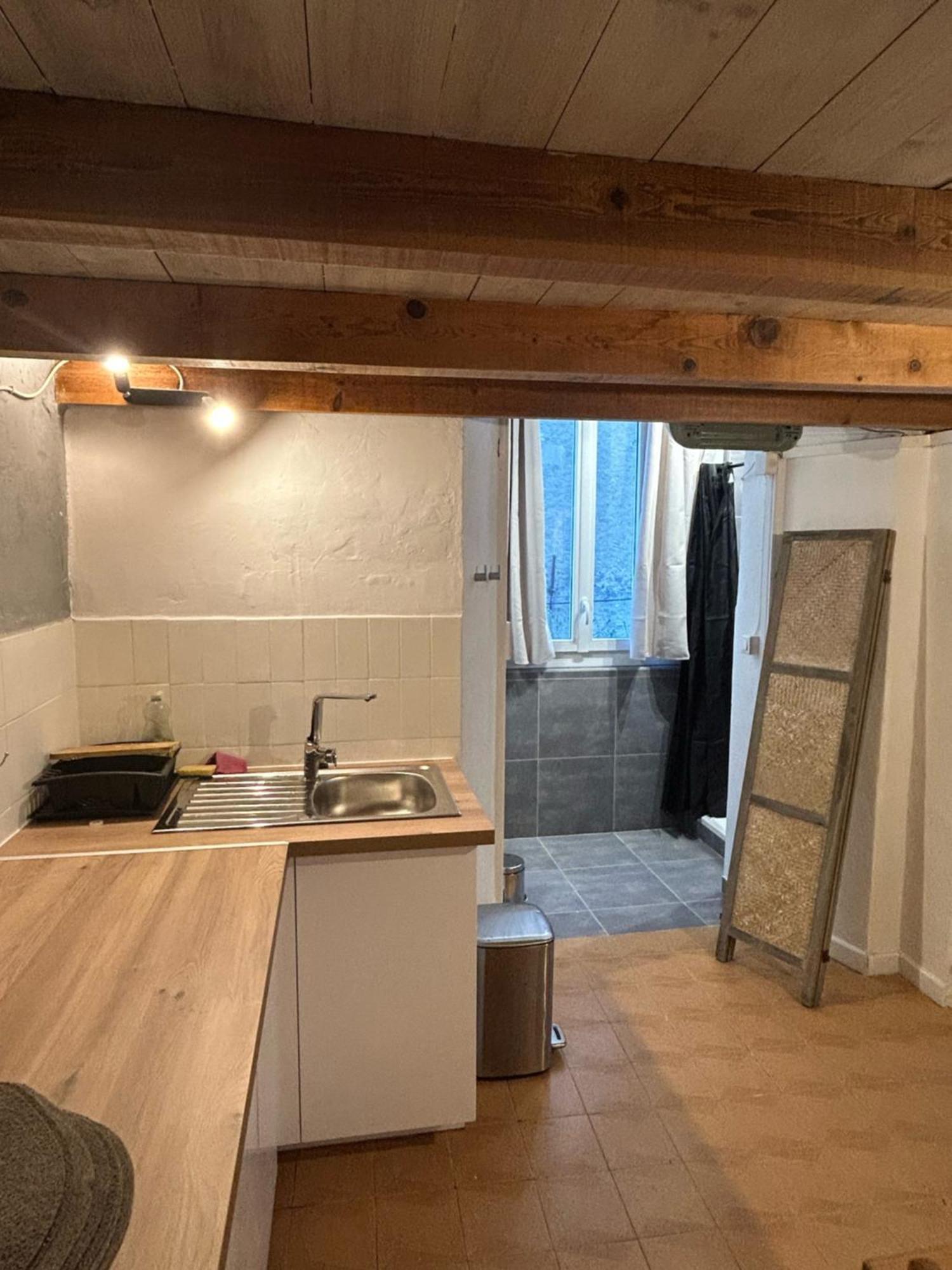 Appartement Cosy Place Paoli Corte  Eksteriør billede